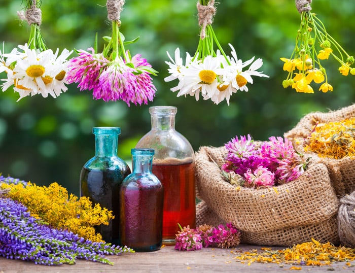 ¿Qué son y para que sirven las flores de Bach?