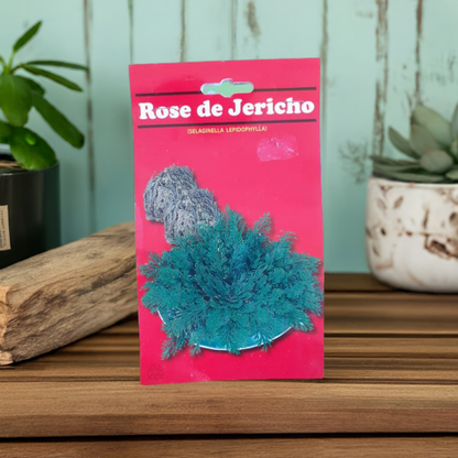 Rosa de Jerico