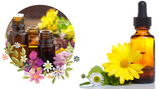 Terapia Floral con Flores de Bach Online /Presencial
